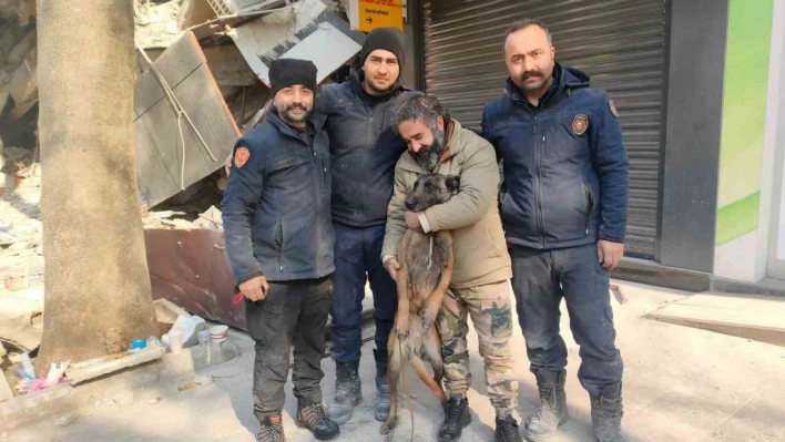 Enkaz altındaki vatandaşların umudu hassas burunlar: 'Rüzgar ve Çakıl'