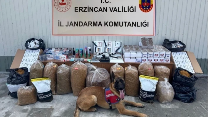 Erzincan'da jandarma ekipleri kaçakçılık olaylarına geçit vermiyor