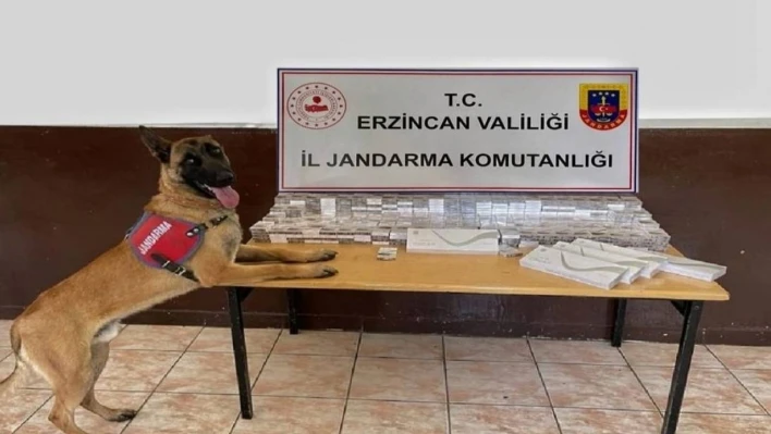 Erzincan'da jandarma ekipleri kaçakçılık olaylarına geçit vermiyor