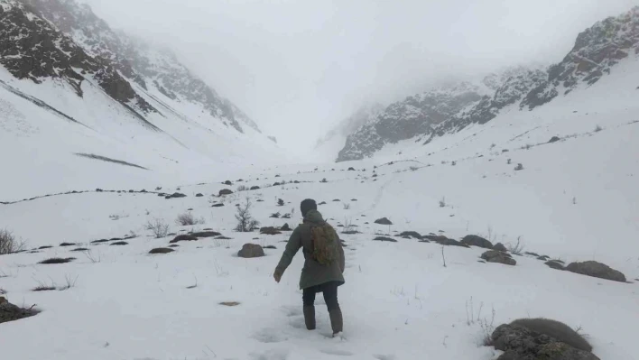 Erzincan'da mayıs ayında kar sürprizi