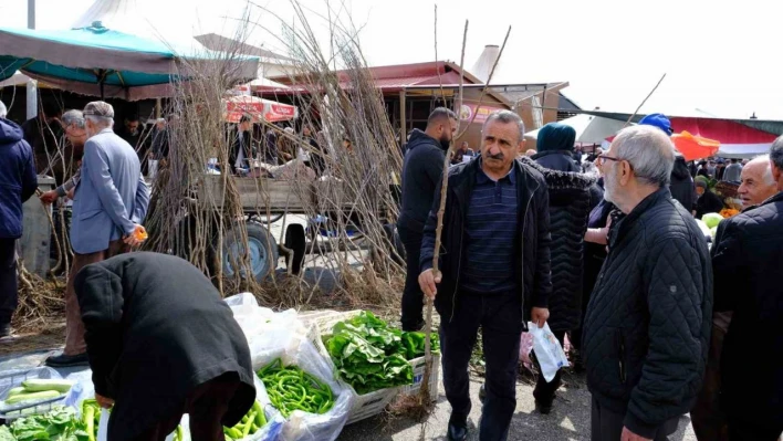 Erzincan'da meyve fidanı satışı başladı