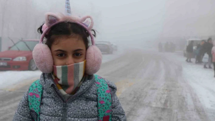 Erzincan'da sis, kar ve soğuk hava etkili oldu