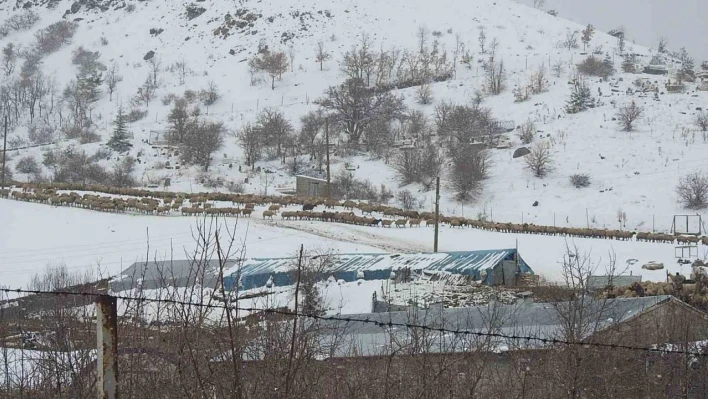 Erzincan'ın köylerinde kış mesaisi sürüyor