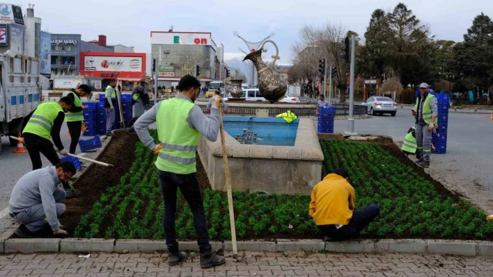 Erzincan karanfil açacak