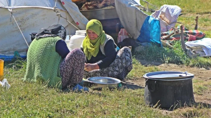 Erzincanlı göçerlerin zorlu yayla hayatı