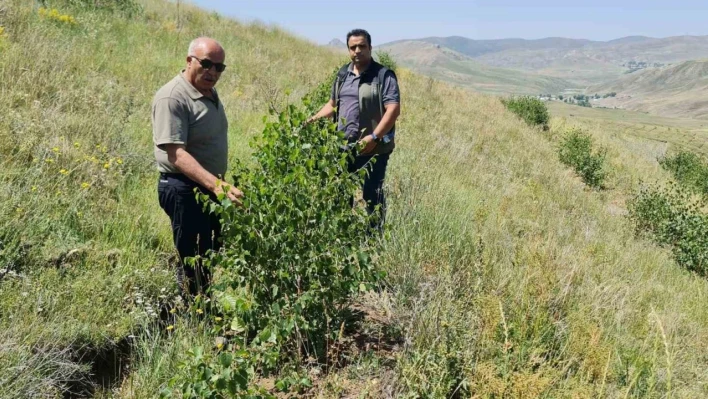 Erzurum Orman Bölge Müdürü Ayatay, Ağrı'da