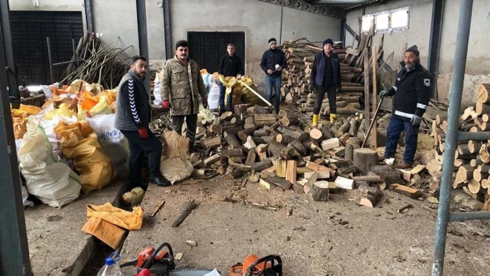 Fatsa'nın tüm mahallelerinde yakacak odun seferberliği başladı