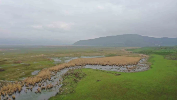 Güroymak'ta kaçak avcılığa drone ile denetim