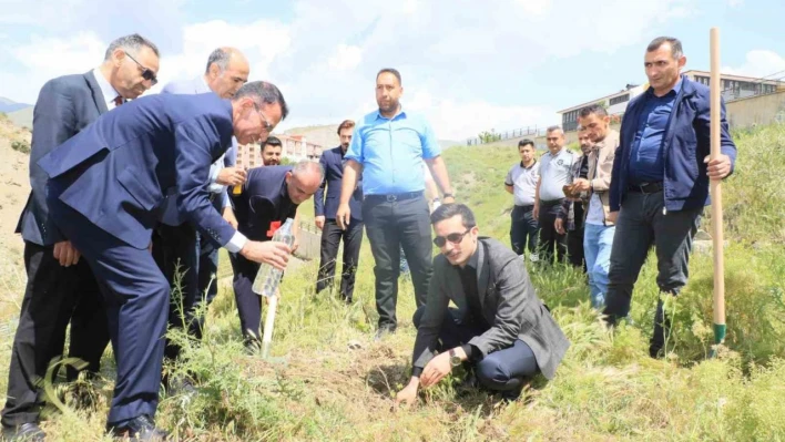 Hakkari'de 'Dünya Tütünsüz Günü'nde fidan dikildi