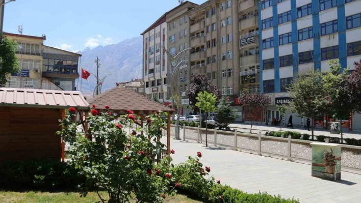 Hakkari'de bayram nedeniyle yollar boş kaldı