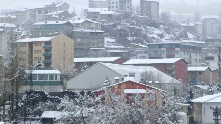 Hakkari'de kar yağışı