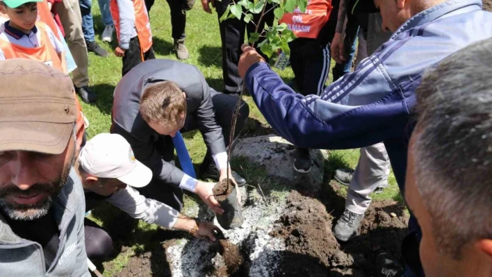 Hanak'ta 600 fidan toprakla buluşturuldu