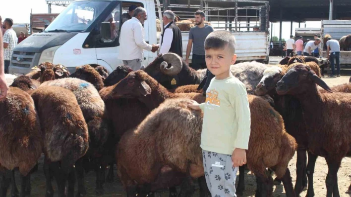 Iğdır'da Kurban Bayramı'na saatler kala kurbanlık satışı devam ediyor