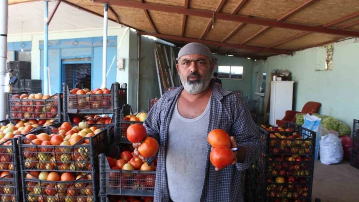 Iğdır'da yetiştirilen sebze ve meyveler il dışına satılıyor