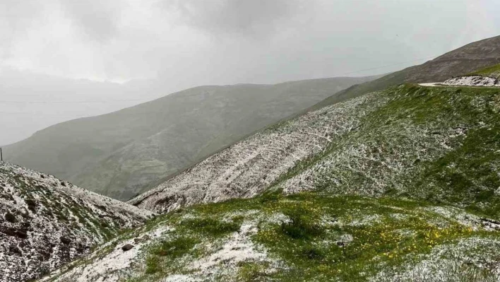 İliç'te sağanak ve dolu yağışı etkili oldu