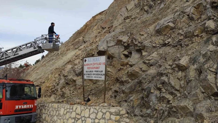 İtfaiye ekipleri kayalıklarda mahsur kalan köpek için seferber oldu