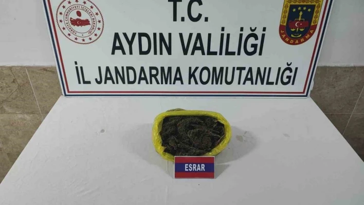 Jandarma ekipleri yarım kilo esrar yakaladı