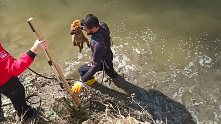 Kanala düşen yavru köpek arama kurtarma ekiplerince kurtarıldı