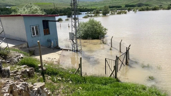 Karasu Nehri taştı, ekili tarlalar sular altında kaldı