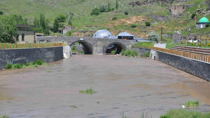 Kars Çayı'nın rengi değişti