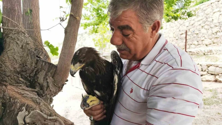 Kaya kartalı ile şahsın dostluğu görenleri şaşırtıyor
