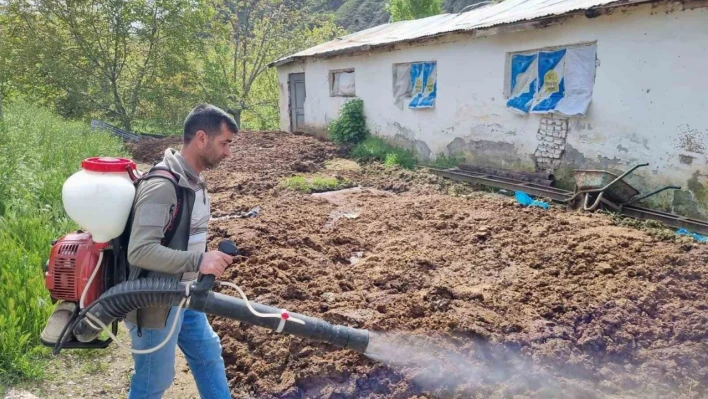 Keban'da haşere ile mücadele çalışması başladı