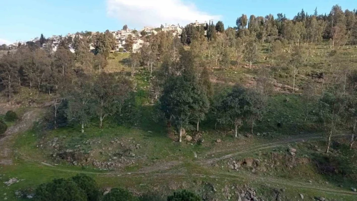 Koyunlar yalnız gelince şüphelendiler, cansız bedenini buldular