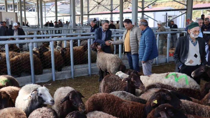 Küçükbaş kurbanlıklara ilgi daha fazla