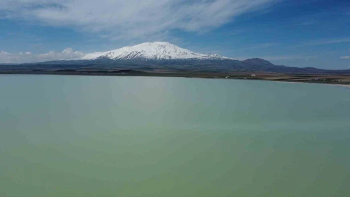 Kuş cenneti Arin Gölü'nde kuraklık tehlikesi