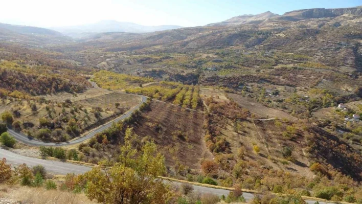 Levent Vadisi sonbaharda göz kamaştırıyor