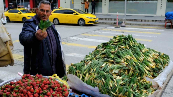 Lezzet ve şifa deposu çiriş otu tezgahlarda yerini aldı