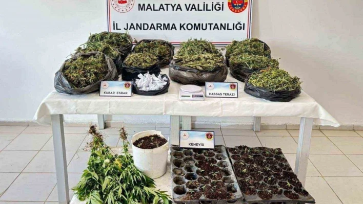 Malatya'da 13 kilo esrar ele geçirildi: 5 şahıs tutuklandı