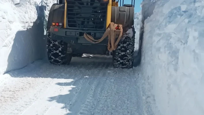 Malatya'da 2 bin rakımda karla rüzgar gülü mücadelesi