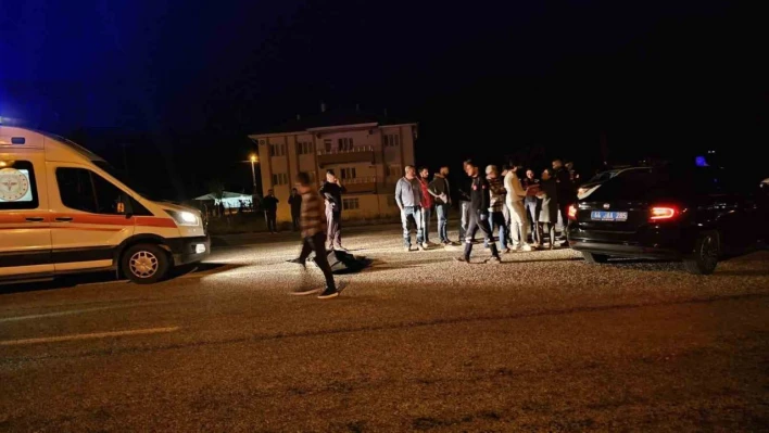 Malatya'da hafif ticari aracın çarptığı yaya hayatını kaybetti