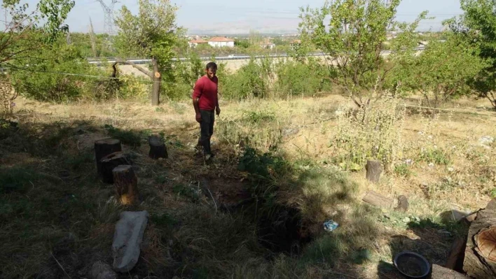 Malatya'da kayısı bahçesinde obruk oluştu