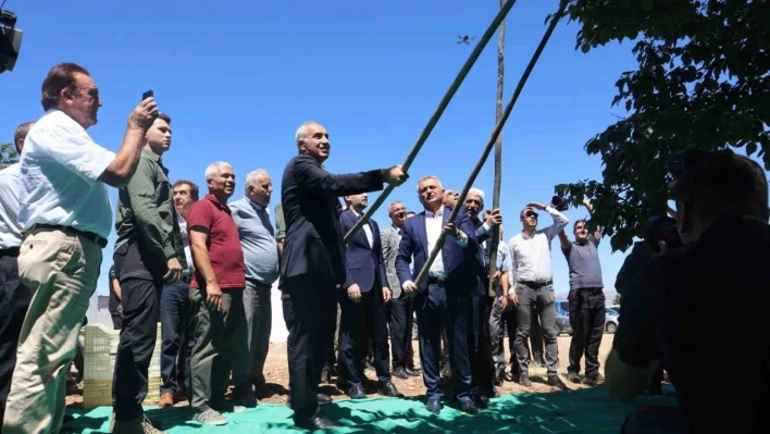 Malatya'da kayısı hasat şenliği düzenlendi