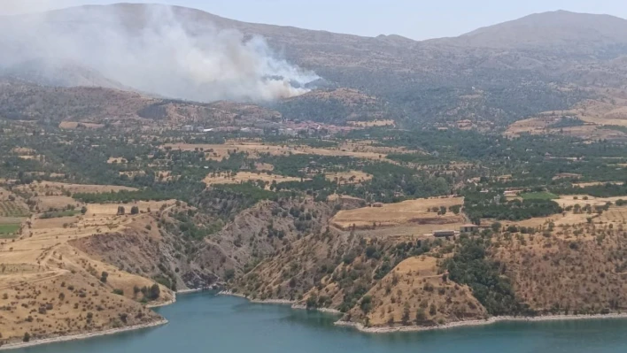 Malatya'da orman yangınına havadan müdahale