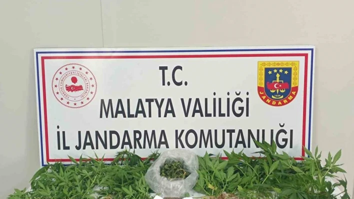 Malatya'da uyuşturucu operasyonu: 3 tutuklama