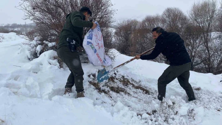 Malatya'da yaban hayvanları için yemleme çalışması