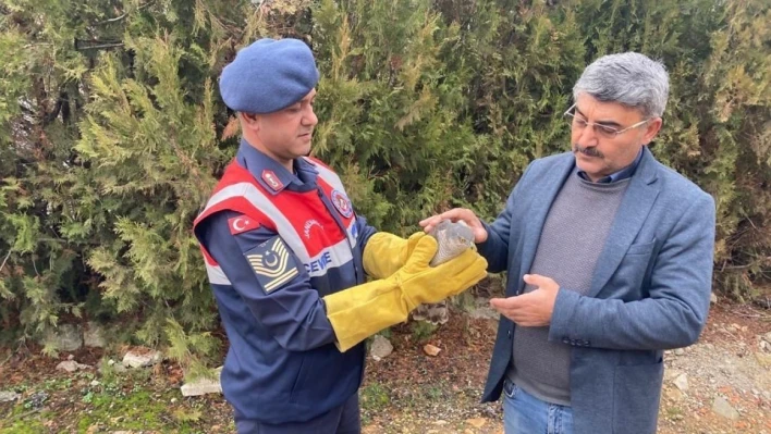 Malatya'da yaralı bulunan Atmaca koruma altına alındı