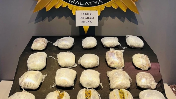 Malatya'da yolcu otobüsünde 13 kilogram skunk ele geçirildi