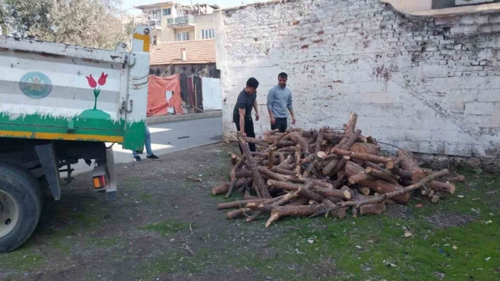 Manisa'da budanan ağaçlar depremzedeleri ısıtacak