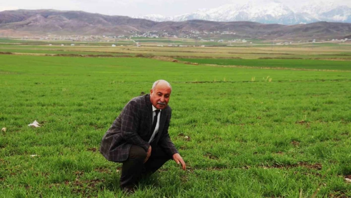 Mart-nisan yağmurları çiftçinin yüzünü güldürdü