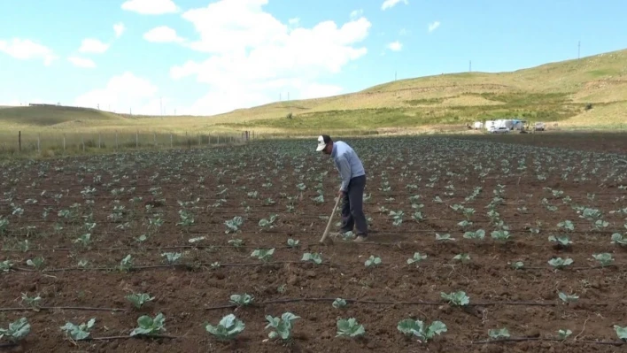 Muş'ta 30 yıl sonra bir ilk: Köylerine dönüp tarıma başladılar