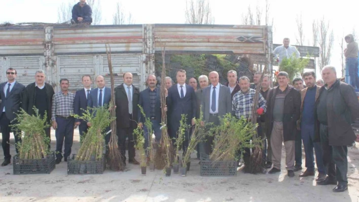 Muş'ta çiftçilere 20 bin meyve fidanı dağıtıldı