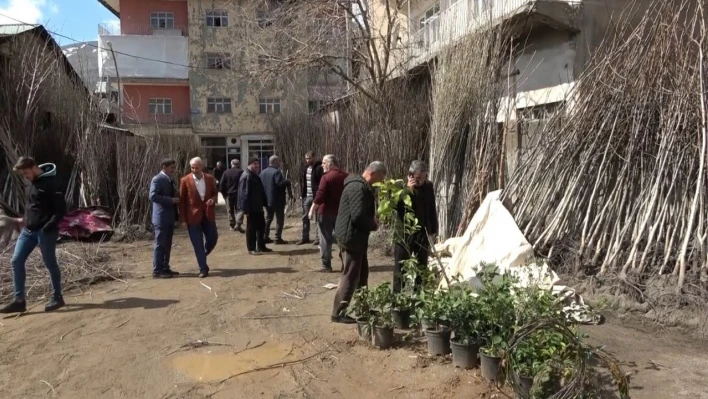 Muş'ta fidan satışları başladı