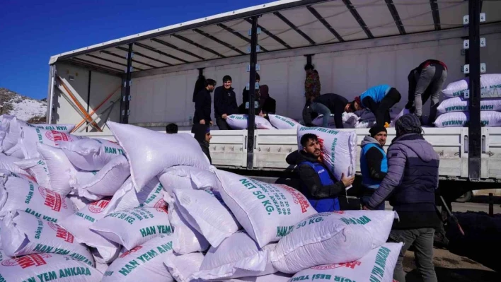 Muş Valiliğinden depremzede besicilere 250 ton yem desteği