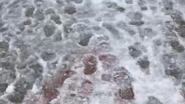 Nisan ayında kış geri geldi