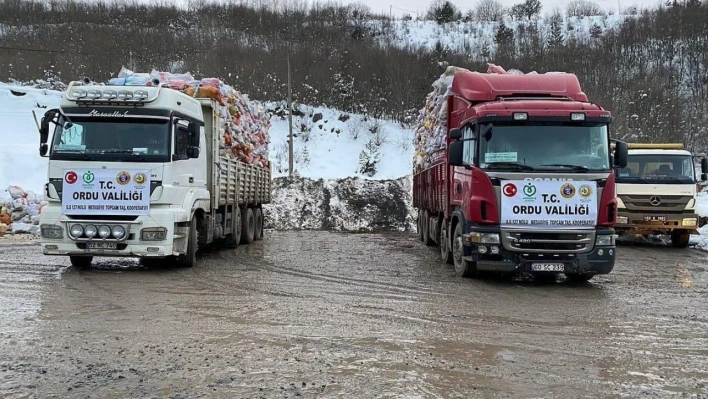 Ordu'dan deprem bölgelerine yardımlar sürüyor