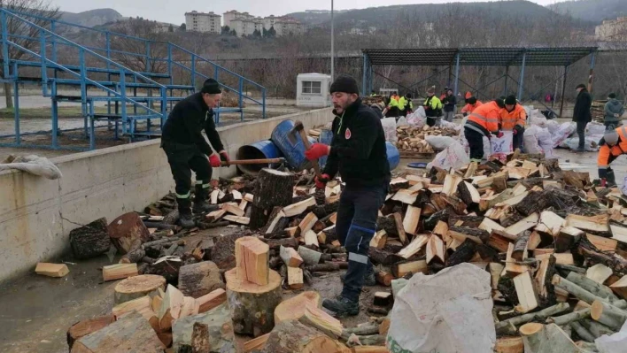 Park ve Bahçeler Müdürlüğü ekiplerinin depremzedeler için odun seferberliği